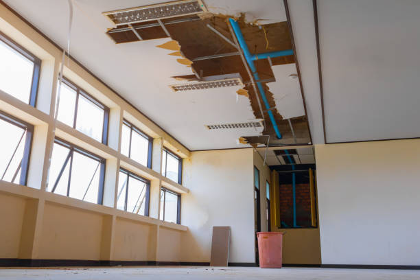  Mcgehee, AR Water damage restoration Pros