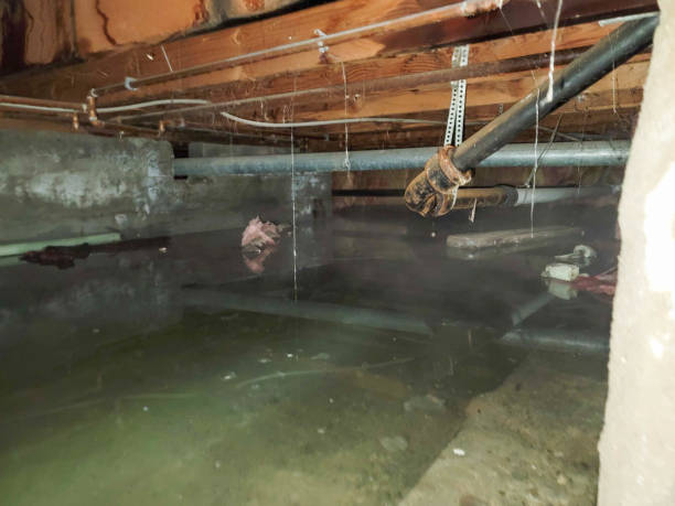 Best Water damage contractors near me  in Mcgehee, AR