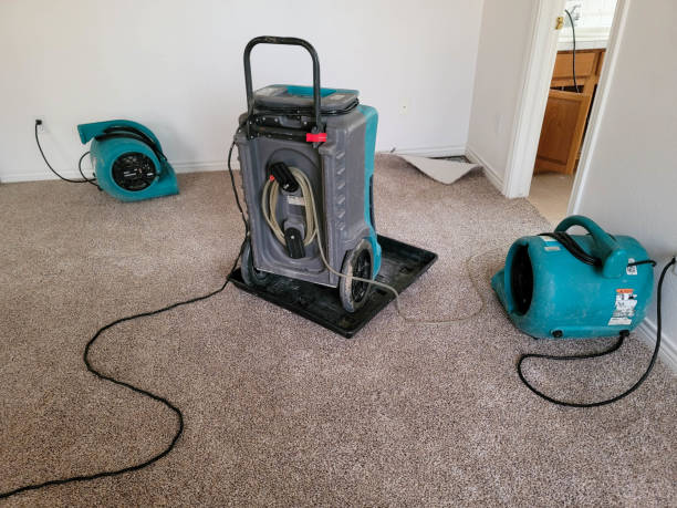 Best Water damage restoration mold remediation  in Mcgehee, AR