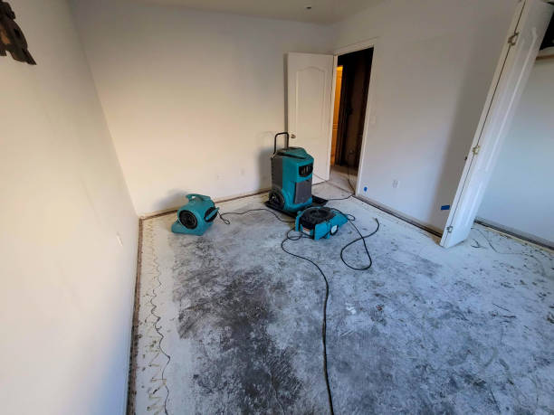 Best Flood restoration services  in Mcgehee, AR