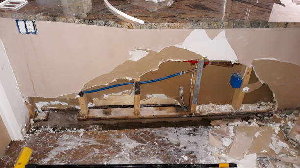 Best Flood damage cleanup  in Mcgehee, AR