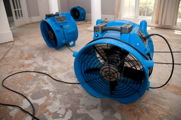 Water damage restoration mold remediation in Mcgehee, AR