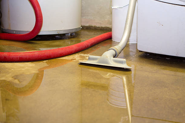 Best Emergency water extraction  in Mcgehee, AR