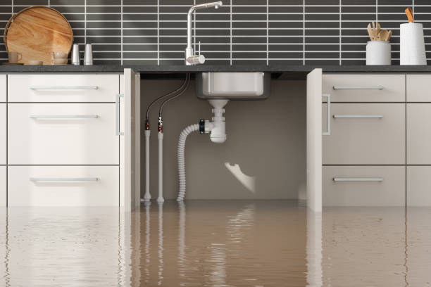 Best Fire Damage Restoration  in Mcgehee, AR