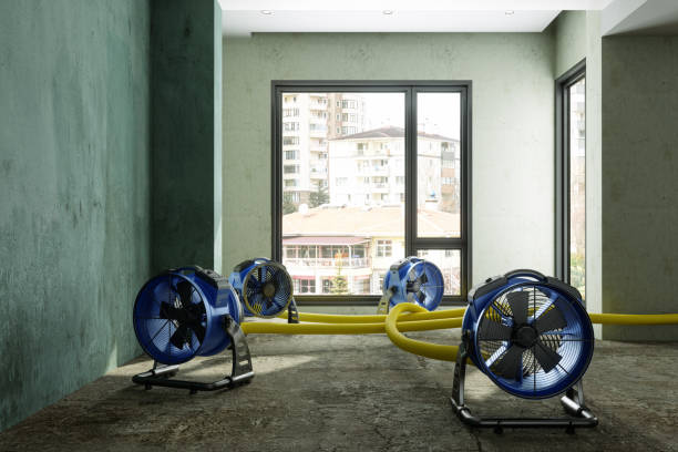 Trusted Mcgehee, AR Water damage restoration Experts